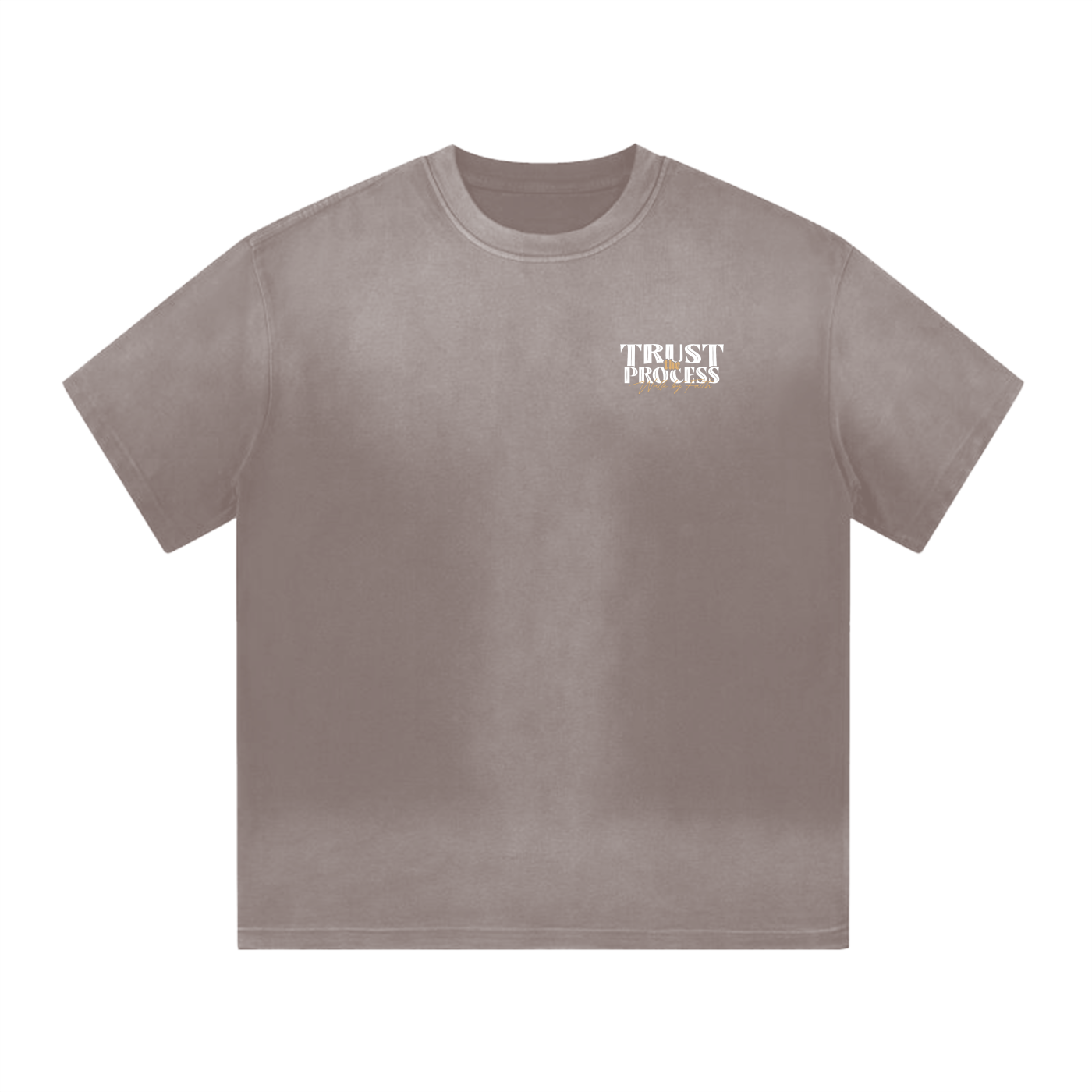 Trust the Process "Origin" Washed Brown  T-shirt